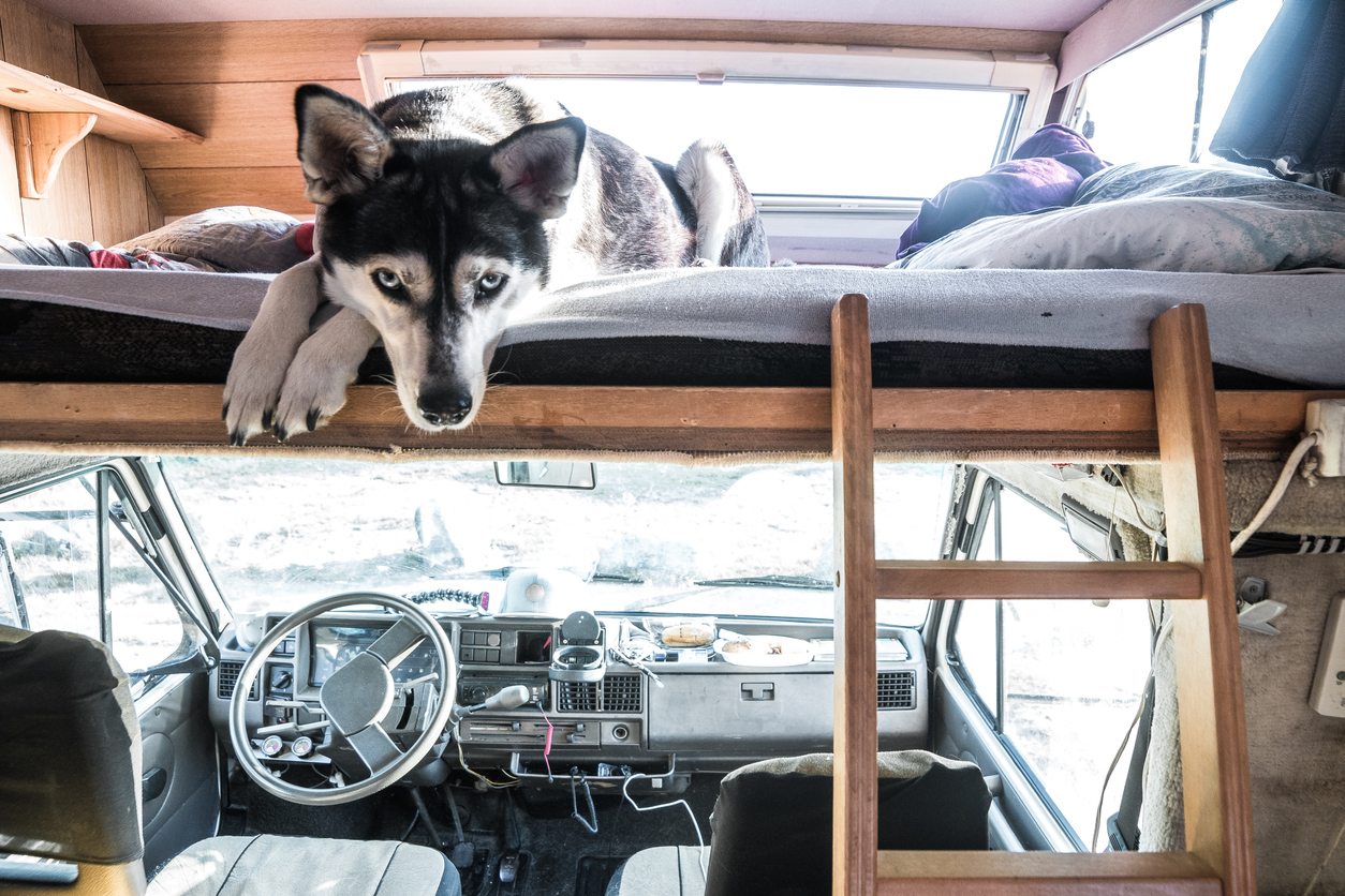 Simple RV Renovation Ideas