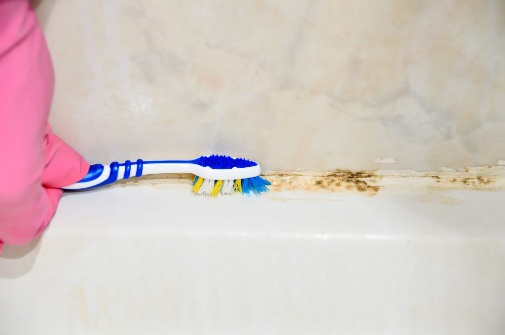 prevent mold in your rv - person scrubbing mold off bathroom tile with a toothbrush