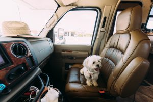 Protecting Your RV Furniture from Pets - Family on RV Road Trip during summer vacation