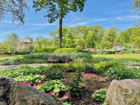 The greenery and flowers at Wellfield Botanic Gardens.