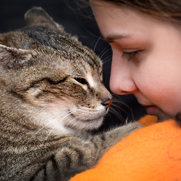 girl with a kitten learning how to rv travel with a cat