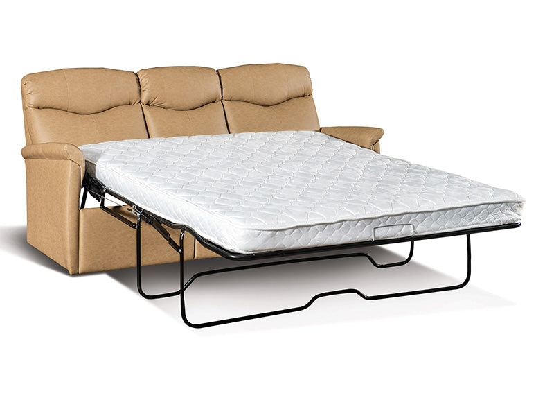 Lambright Luxe 74" Sofa Sleeper-2